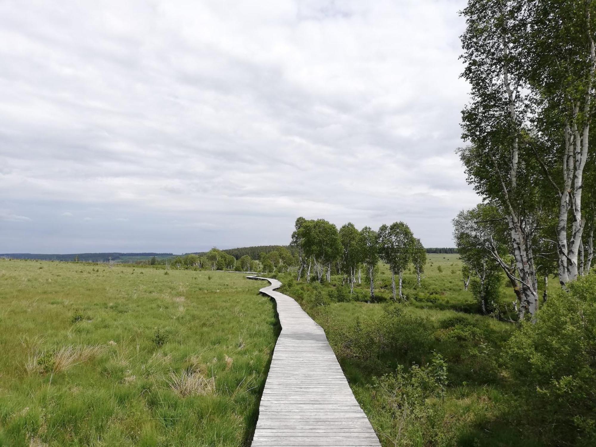 Picture Perfect Holiday Home In Sourbrodt With Garden Bbq * Sourbrodt